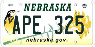 NE license plate APE325