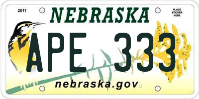 NE license plate APE333