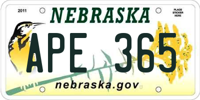 NE license plate APE365