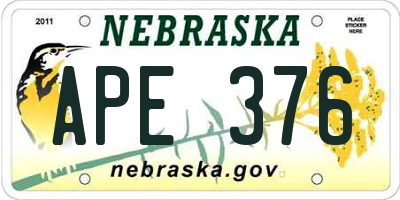 NE license plate APE376