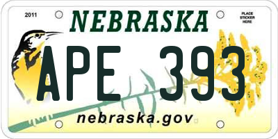 NE license plate APE393