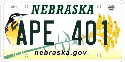 NE license plate APE401