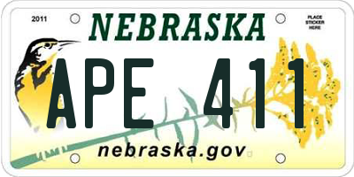 NE license plate APE411