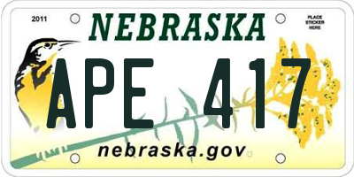 NE license plate APE417