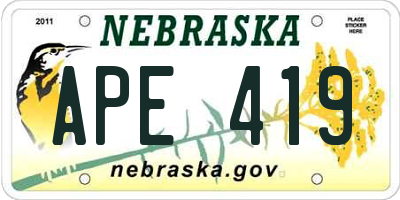 NE license plate APE419