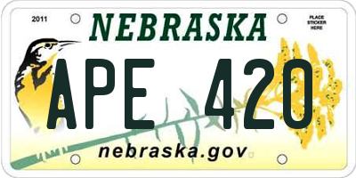 NE license plate APE420