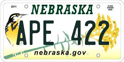 NE license plate APE422