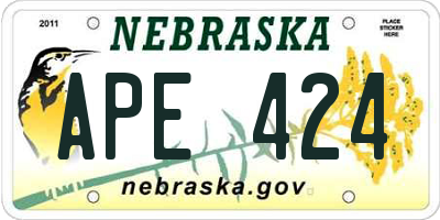 NE license plate APE424