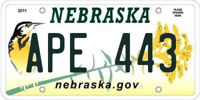 NE license plate APE443