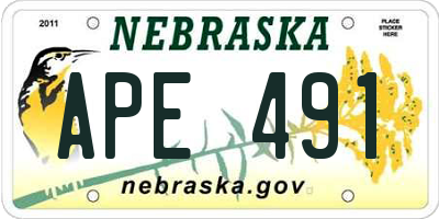 NE license plate APE491