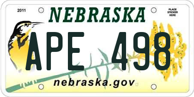 NE license plate APE498