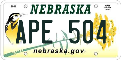 NE license plate APE504