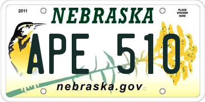 NE license plate APE510
