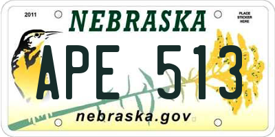 NE license plate APE513