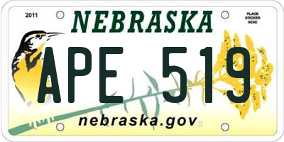 NE license plate APE519