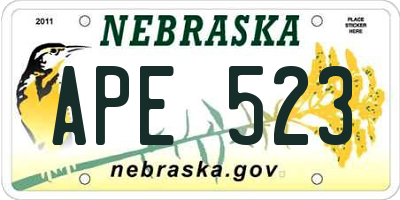 NE license plate APE523