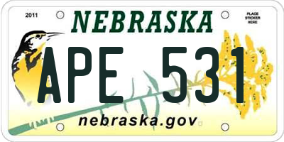 NE license plate APE531
