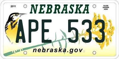 NE license plate APE533