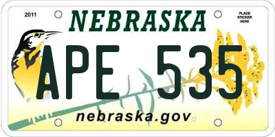 NE license plate APE535