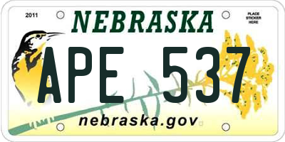 NE license plate APE537