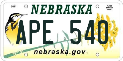 NE license plate APE540