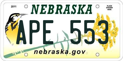 NE license plate APE553