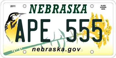 NE license plate APE555