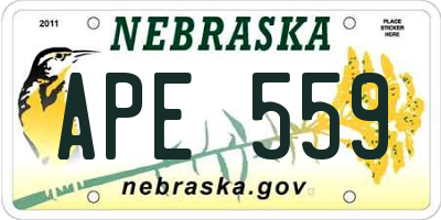 NE license plate APE559
