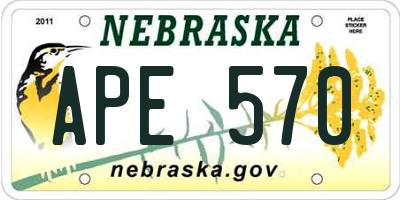 NE license plate APE570
