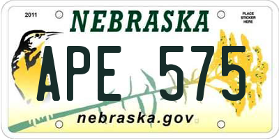 NE license plate APE575