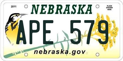 NE license plate APE579