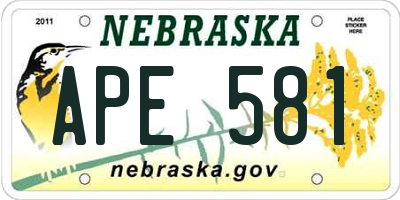 NE license plate APE581