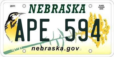 NE license plate APE594