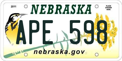 NE license plate APE598