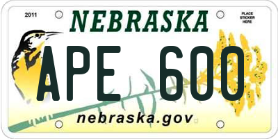 NE license plate APE600