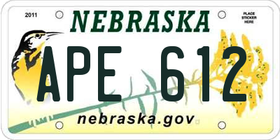 NE license plate APE612