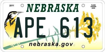 NE license plate APE613