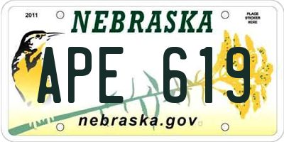 NE license plate APE619