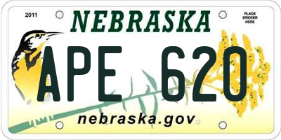 NE license plate APE620