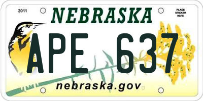 NE license plate APE637
