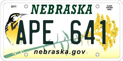 NE license plate APE641
