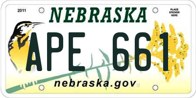 NE license plate APE661