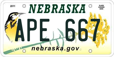 NE license plate APE667