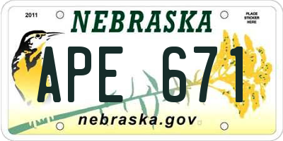 NE license plate APE671