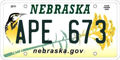 NE license plate APE673