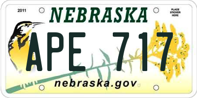NE license plate APE717