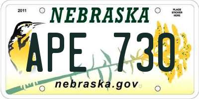 NE license plate APE730