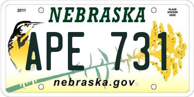 NE license plate APE731