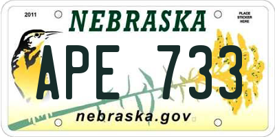 NE license plate APE733