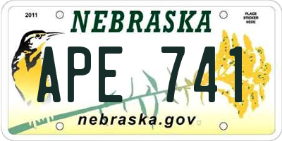 NE license plate APE741